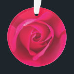 Adorno Rojo Romántico Rosa Rosa v2<br><div class="desc">Rosa rosa y roja romántica.</div>