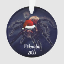 Rosa chilena Hair Tarantula en Santa Hat
