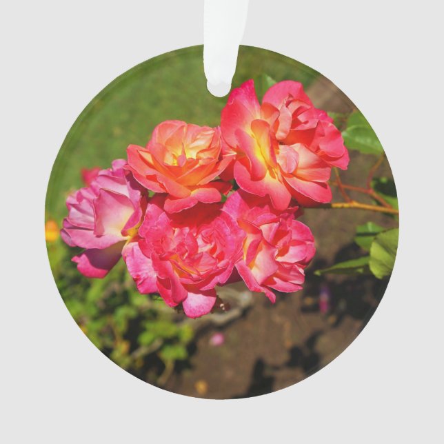 Adorno Rosa de abrigo de Joseph #1 (Anverso)