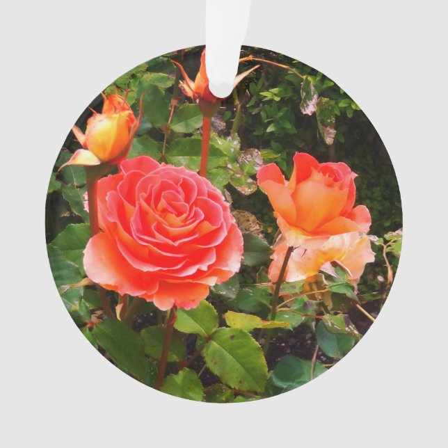 Adorno Rosa de banda de latón #1 (Anverso)