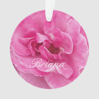 Adorno Rosa de jardín rosado
