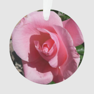 Adorno Rosa rosa III Jardín Floral