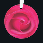 Adorno Rosa rosa rojo romántico<br><div class="desc">Rosa rosada y roja romántica.</div>