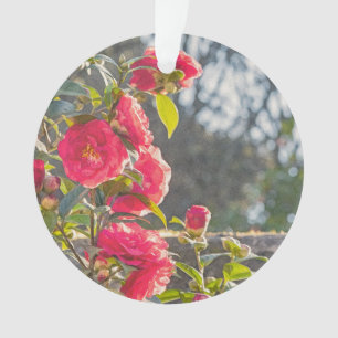 Adorno Rosas 