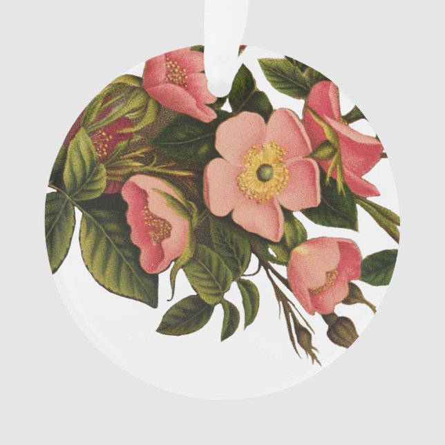Adorno Rosas de época bello botánico rosado (Anverso)