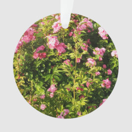 Adorno Rosas rosas rosas en flor