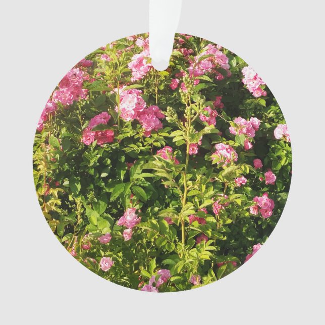 Adorno Rosas rosas rosas en flor (Anverso)