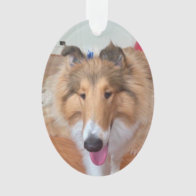 Adorno Rough Collie Dog (Anverso)