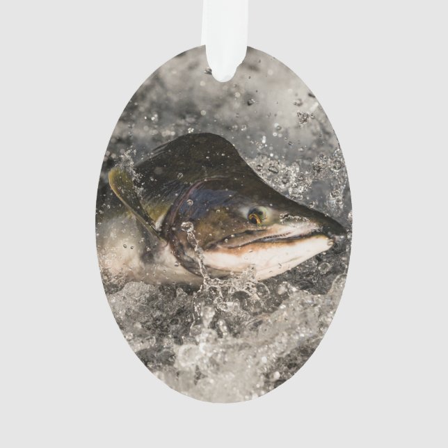 Adorno Saltando Salmon (Reverso)