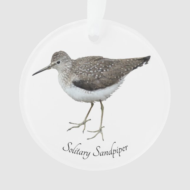 Adorno Sandpiper solitario (Anverso)