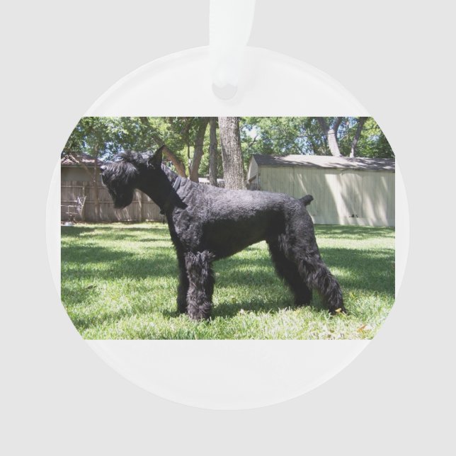 Adorno Schnauzer gigante full.png (Anverso)