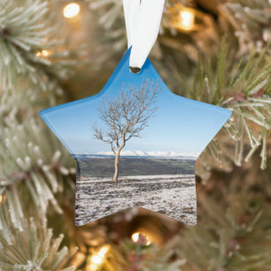 Adorno Scout Scar Holiday Card Poster Bloque fotográfico