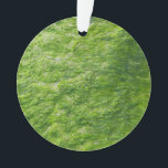 Adorno Sea Moss Green Nature Grass Beach Nautical<br><div class="desc">Diseñado con una fotografía fresca de musgo marino.</div>