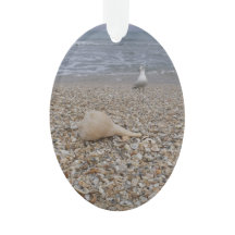 Seashells y gaviotas