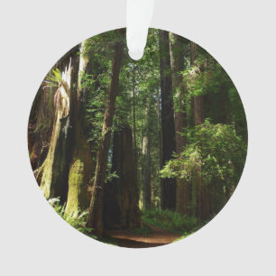 Adorno Secuoyas y ferris en el Parque Nacional Redwood