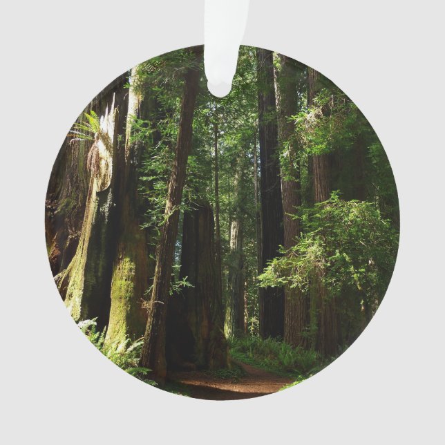 Adorno Secuoyas y ferris en el Parque Nacional Redwood (Anverso)
