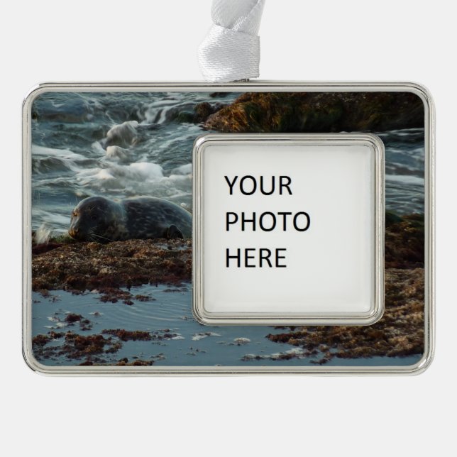 Adorno Sello de puerto de luz solar I en San Diego (Anverso)