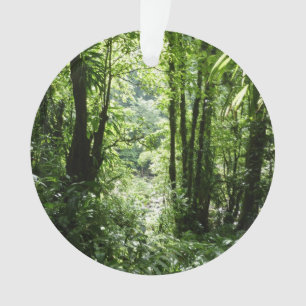 Adorno Selva tropical II dominicana de lluvia verde tropi