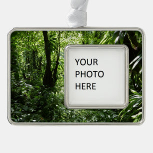 Adorno Selva tropical II dominicana de lluvia verde tropi