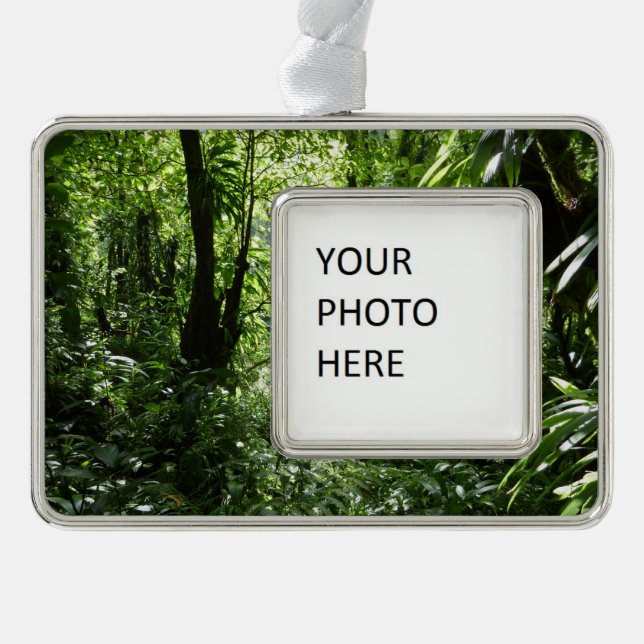Adorno Selva tropical II dominicana de lluvia verde tropi (Anverso)