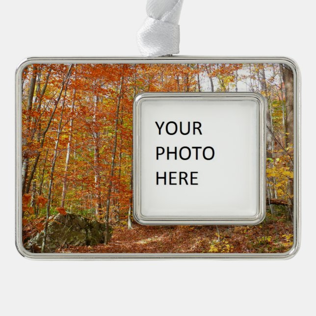 Adorno Sendero de caída de luz solar en Laurel Hill Park (Anverso)