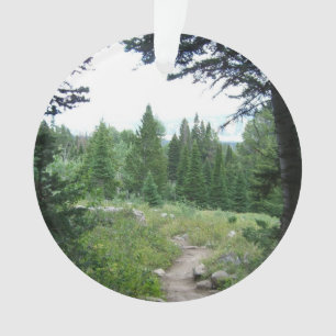 Adorno Sendero Grand Teton