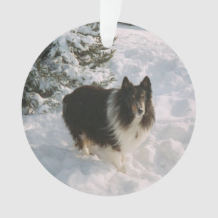 Adorno Sheltie y Husky Fun en la nieve