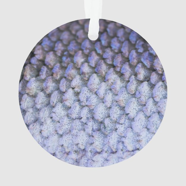 Adorno Shimmering Salmon (Reverso)