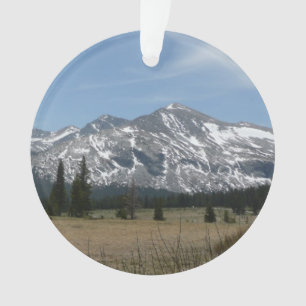 Adorno Sierra Nevada I de Yosemite