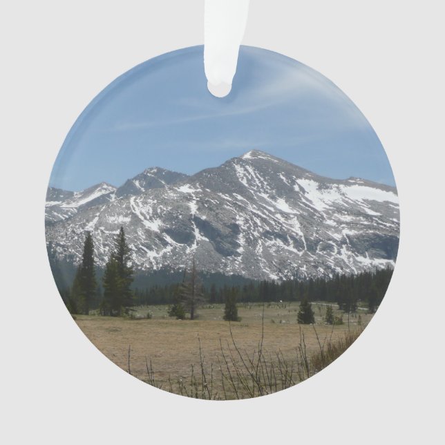 Adorno Sierra Nevada I de Yosemite (Anverso)