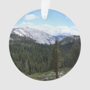 Adorno Sierra Nevada II de Yosemite