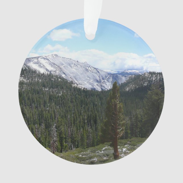 Adorno Sierra Nevada II de Yosemite (Anverso)
