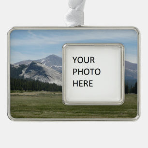 Adorno Sierra Nevada III Parque Nacional Yosemite