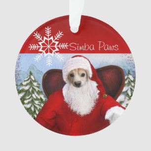 Adorno Simba Santa