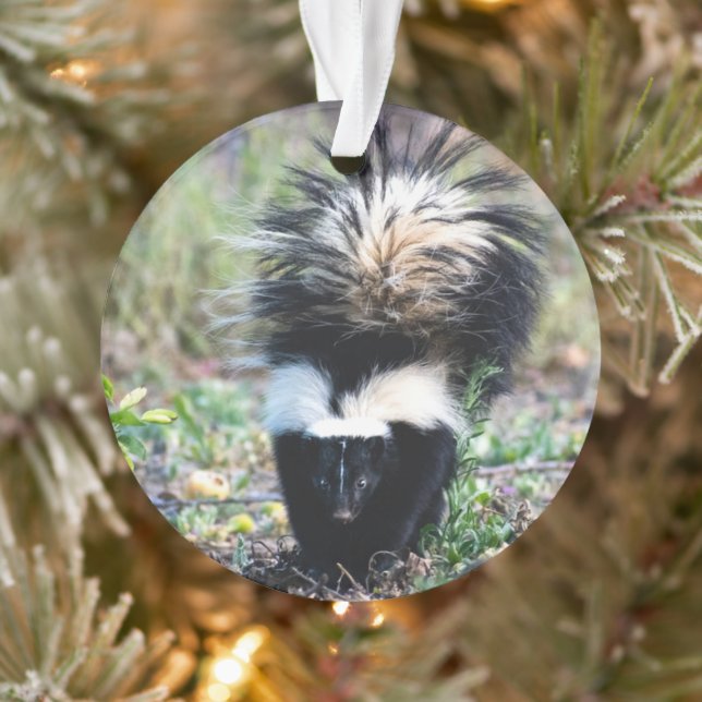 Adorno Skunk Black and White (Árbol)