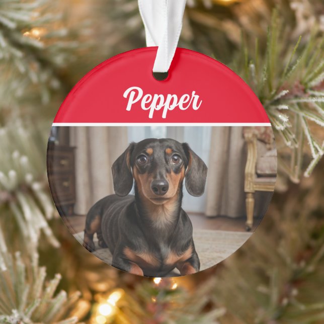 Adorno Smooth Dachshund with Name and Photo Christmas (Árbol)