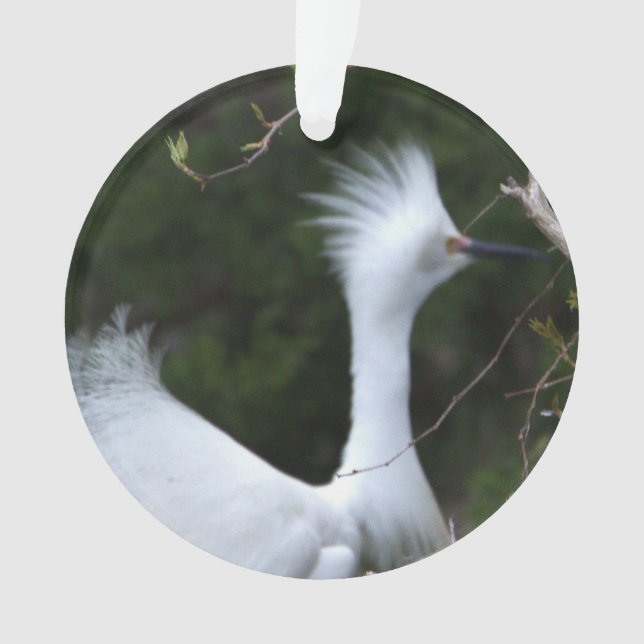 Adorno Snowy Egret Ornament (Anverso)