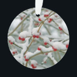 Adorno Snowy Red Berries Winter Scene<br><div class="desc">Escena de invierno: Berries rojas en ramas desnudas cubiertas de nieve. ¡Alegre y festivo para la temporada de vacaciones!</div>