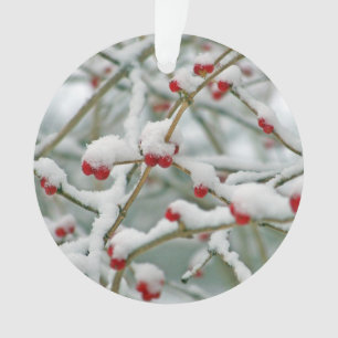 Adorno Snowy Red Berries Winter Scene
