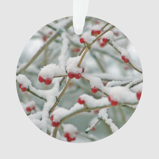 Adorno Snowy Red Berries Winter Scene (Anverso)