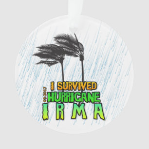 Adorno Sobreviví al huracán Irma