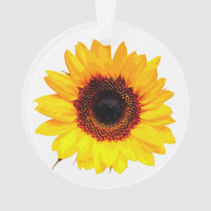 Adorno Sólo un florecimiento de girasol + tu texto e idea