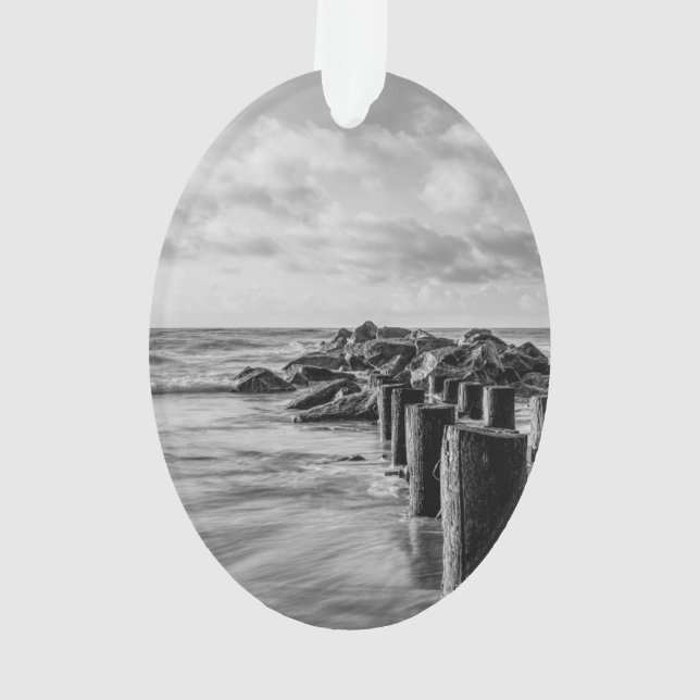 Adorno Soñadora Jettie Grayscale (Reverso)