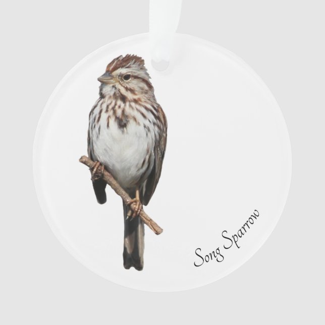 Adorno Song Sparrow (Anverso)