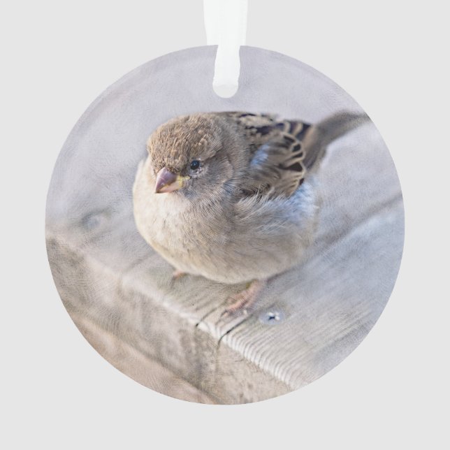 Adorno Sparrow - Sobrepeso (Reverso)