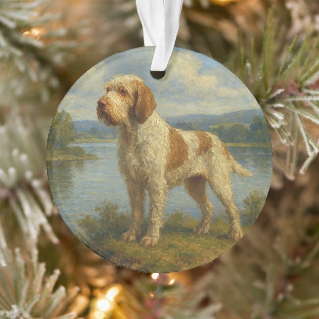 Adorno Spinone Italiano (Árbol)