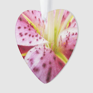 Adorno Stargazer Lily Bright Magenta Floral