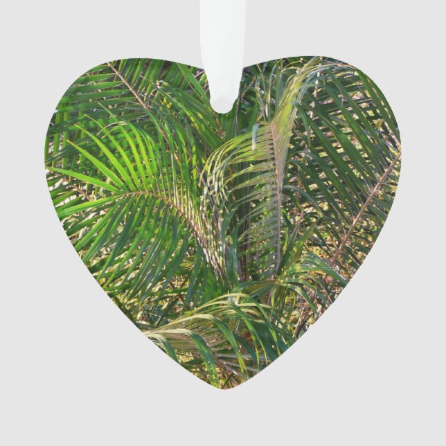 Adorno Sunset Lit Palm Fronds Tropical (Anverso)