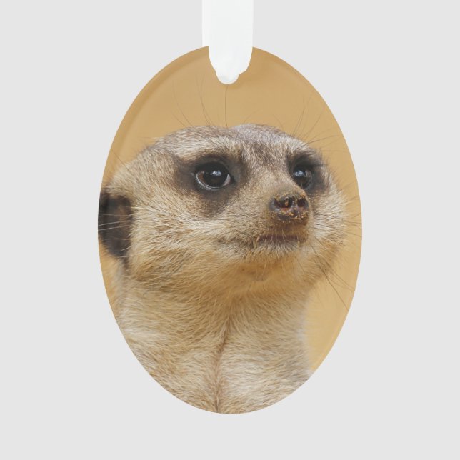 Adorno Suricata 2014-1101 (Anverso)