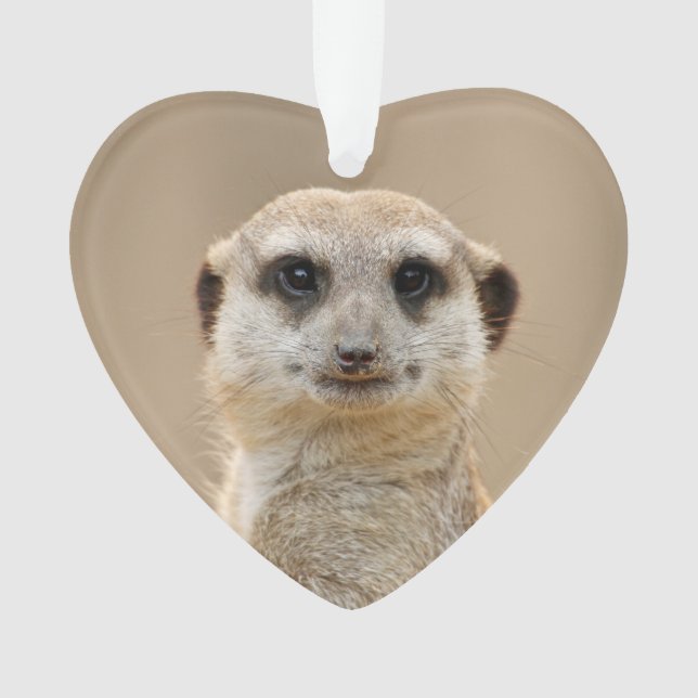 Adorno Suricata_2015_0211 (Anverso)